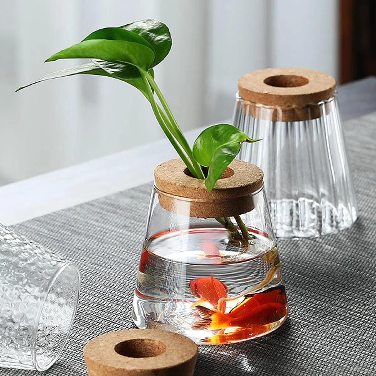 2 Vaso Idroponico di Vetro Con Base e Tappi in Sughero - Trasparente da Scrivania per Idrocoltura - Per Casa, Ufficio e Decorazione