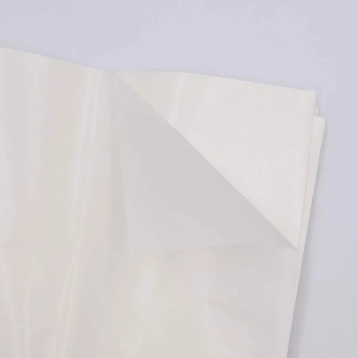 Lineco - Carta glassine, 41 x 51 cm, confezione da 12 fogli