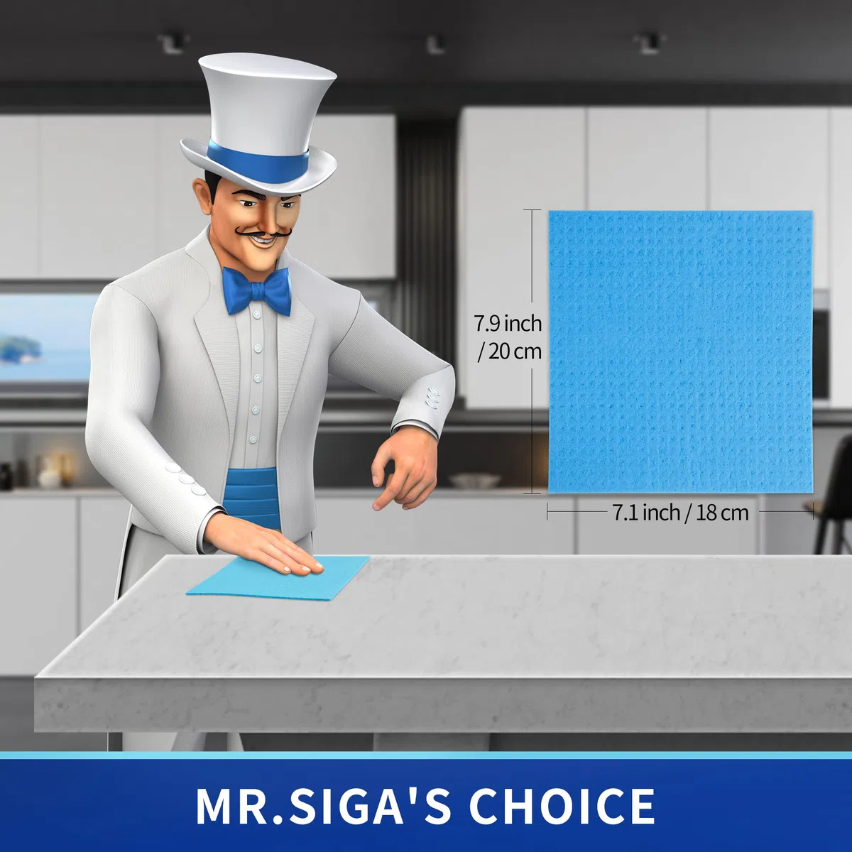 MR.SIGA Panno spugna per cucina, strofinacci assorbenti, panno per la pulizia, asciugamani da cucina riutilizzabili, 10 pezzi