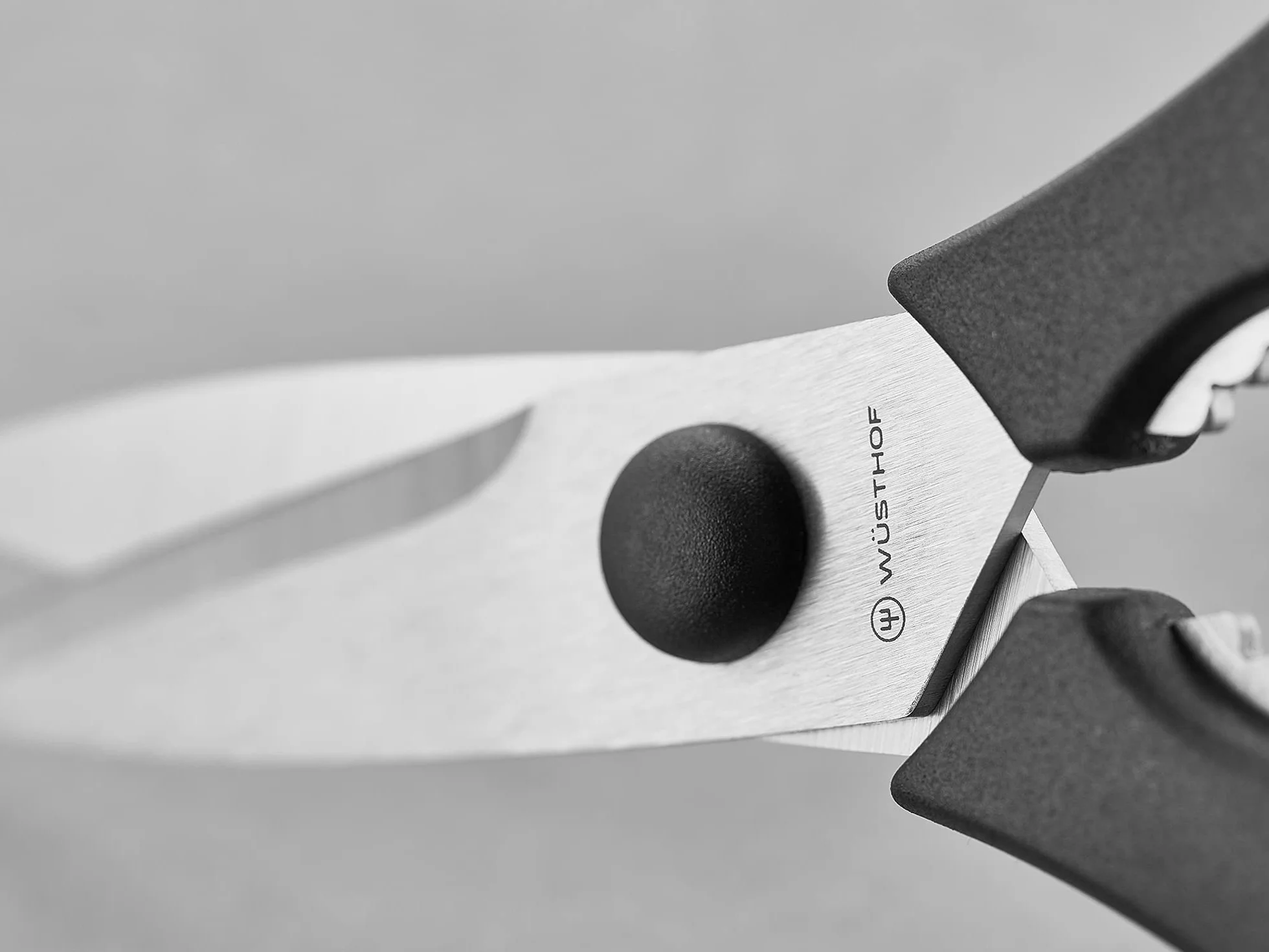 WÜSTHOF Forbici cucina 20,2 cm lunghezza totale, Nero
