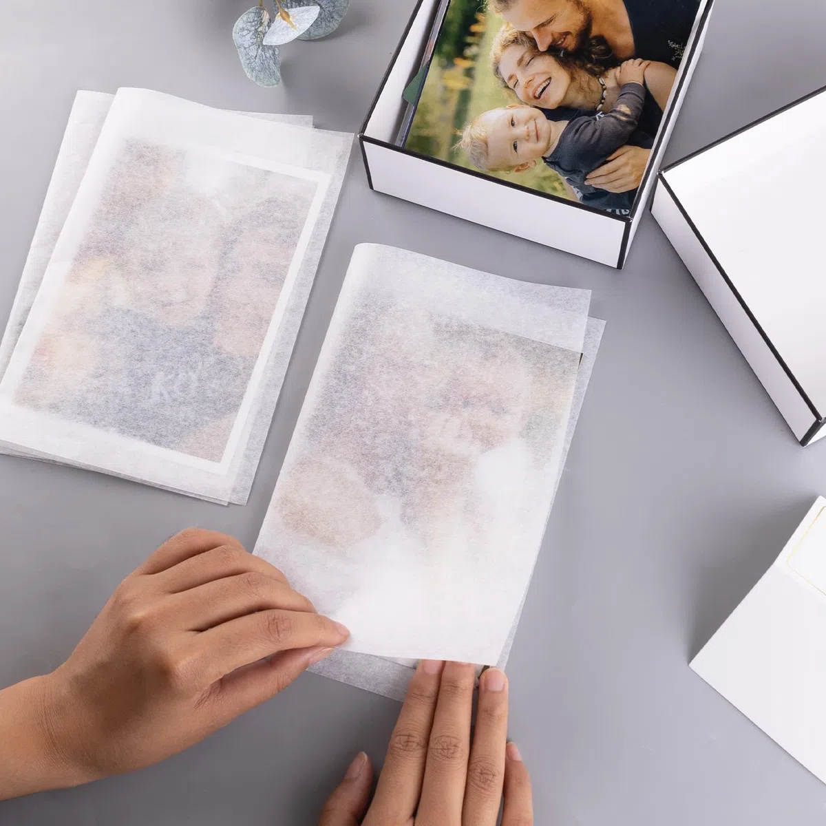 Lineco - Carta glassine, 41 x 51 cm, confezione da 12 fogli