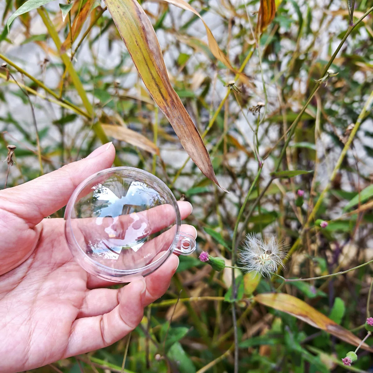 Palline vuote in acrilico trasparente, riempibili, palline in plastica trasparente fai da te, per regali di Capodanno, albero di Natale, decorazione per la casa, matrimoni, feste (5cm/2pollici