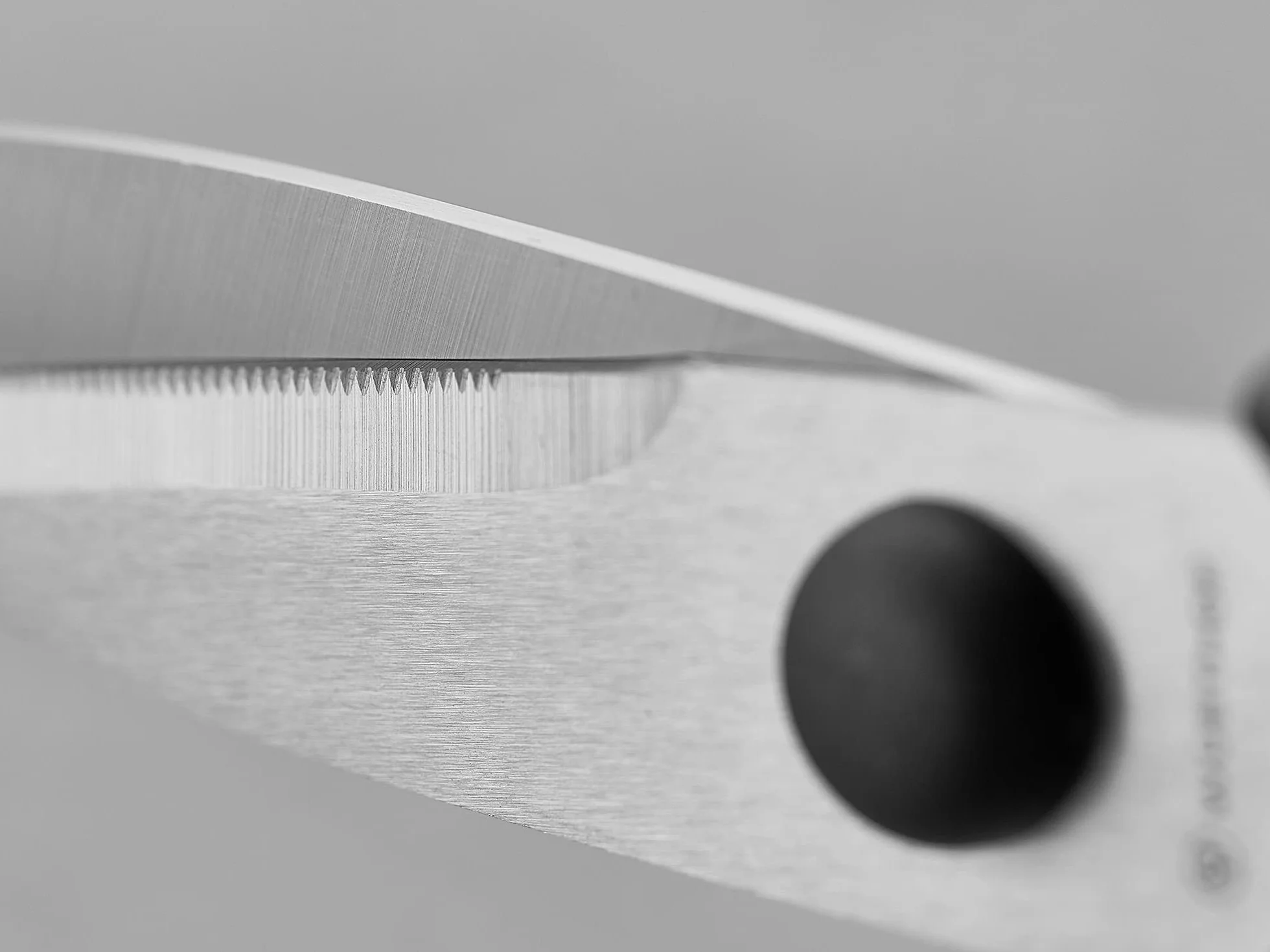 WÜSTHOF Forbici cucina 20,2 cm lunghezza totale, Nero