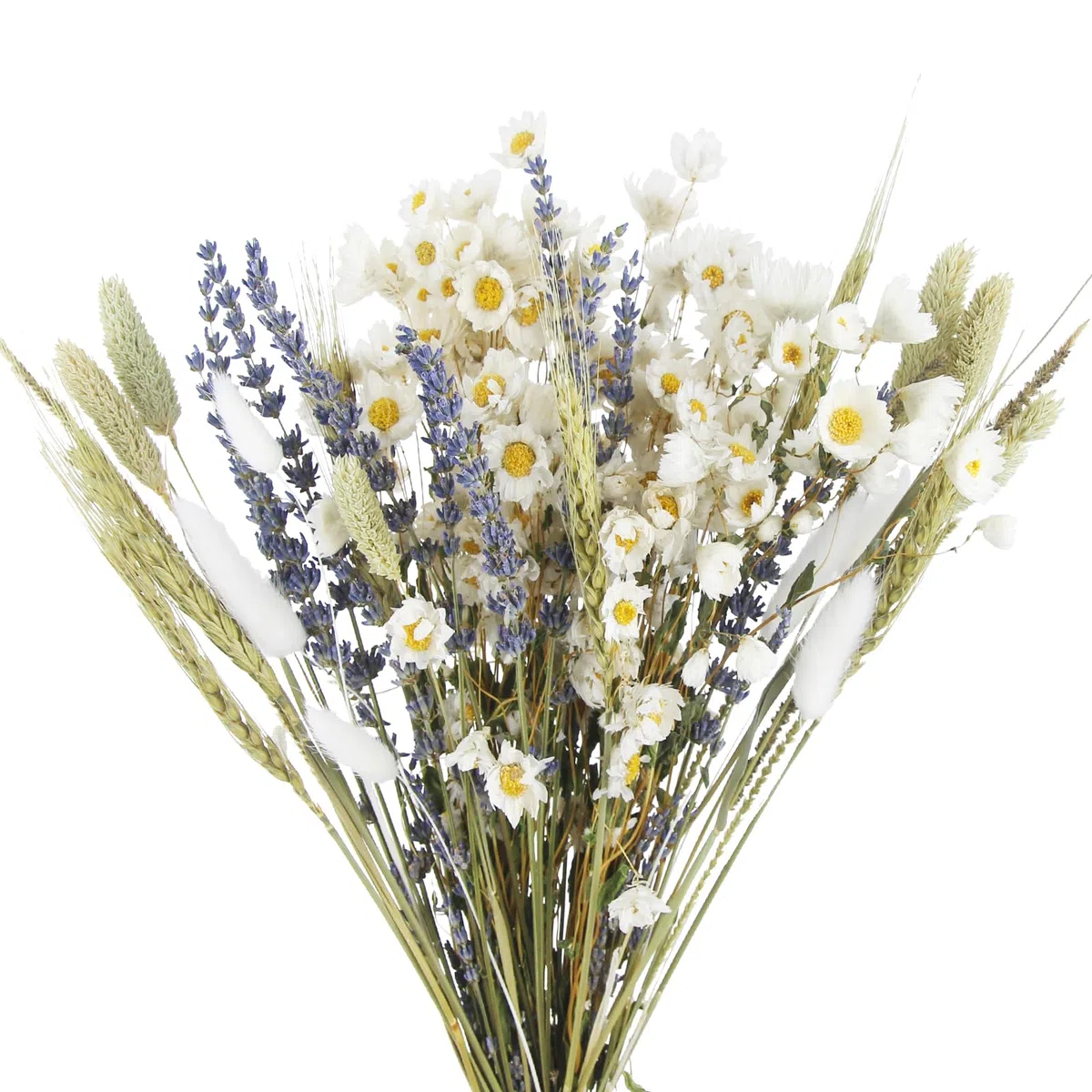 Mazzi Fiori Secchi Decorativi Naturali per Vaso Miste Bouquet Lavanda Essiccata Gerbere Coda di Coniglio Pampas Erba di Grano per Bomboniere Matrimonio Decorazione Casa Fai Da Te Partito
