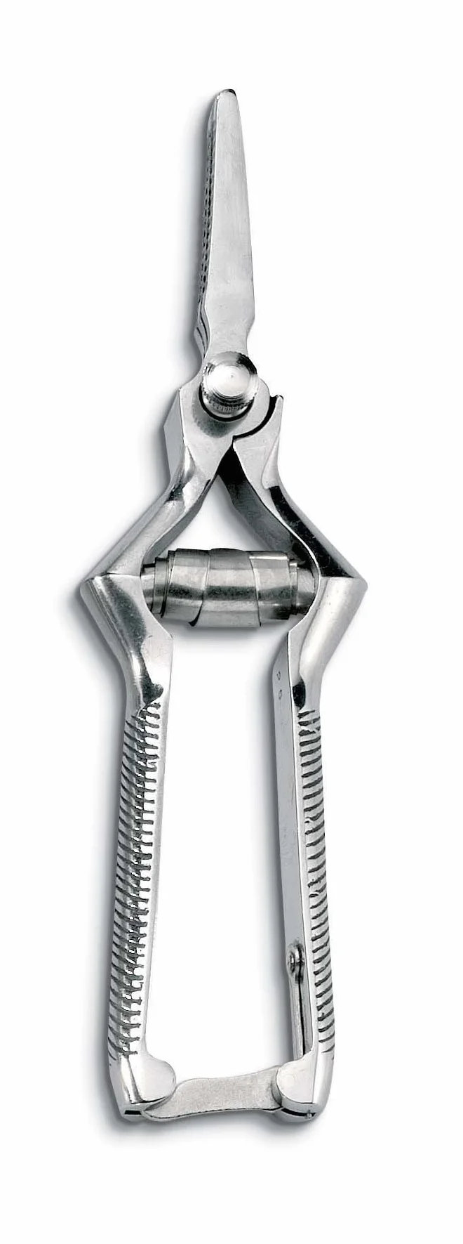 Ausonia - Masticatore inox curvo